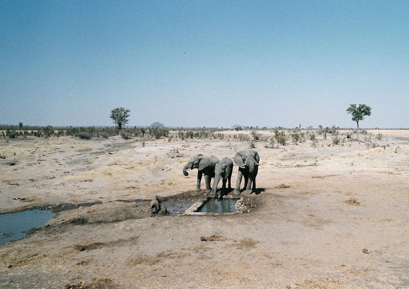 © Chloé Nicosia - Image from the ONE HUNDRED TRILLION DOLLARS photography project