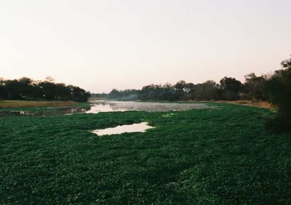 © Chloé Nicosia - Image from the ONE HUNDRED TRILLION DOLLARS photography project