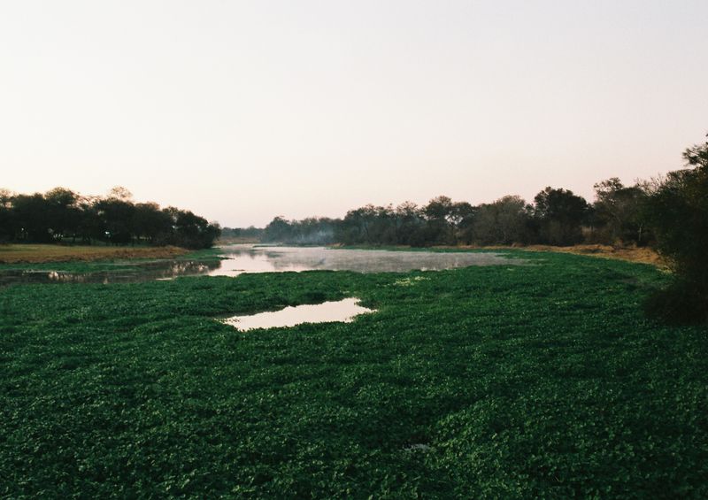 © Chloé Nicosia - Image from the ONE HUNDRED TRILLION DOLLARS photography project