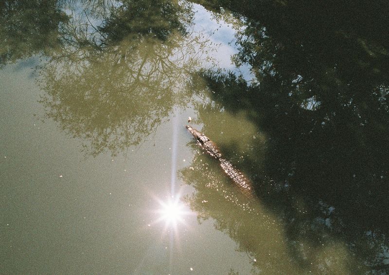 © Chloé Nicosia - Image from the ONE HUNDRED TRILLION DOLLARS photography project