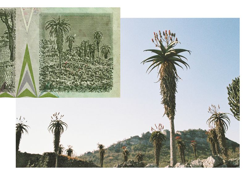 © Chloé Nicosia - Image from the ONE HUNDRED TRILLION DOLLARS photography project