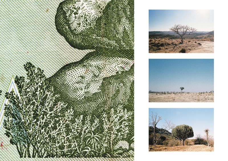 © Chloé Nicosia - Image from the ONE HUNDRED TRILLION DOLLARS photography project