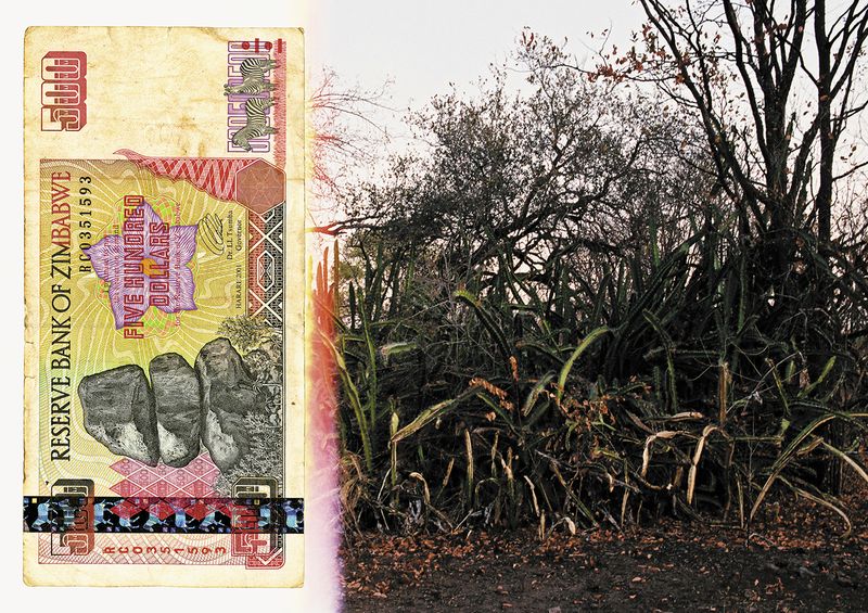 © Chloé Nicosia - Image from the ONE HUNDRED TRILLION DOLLARS photography project