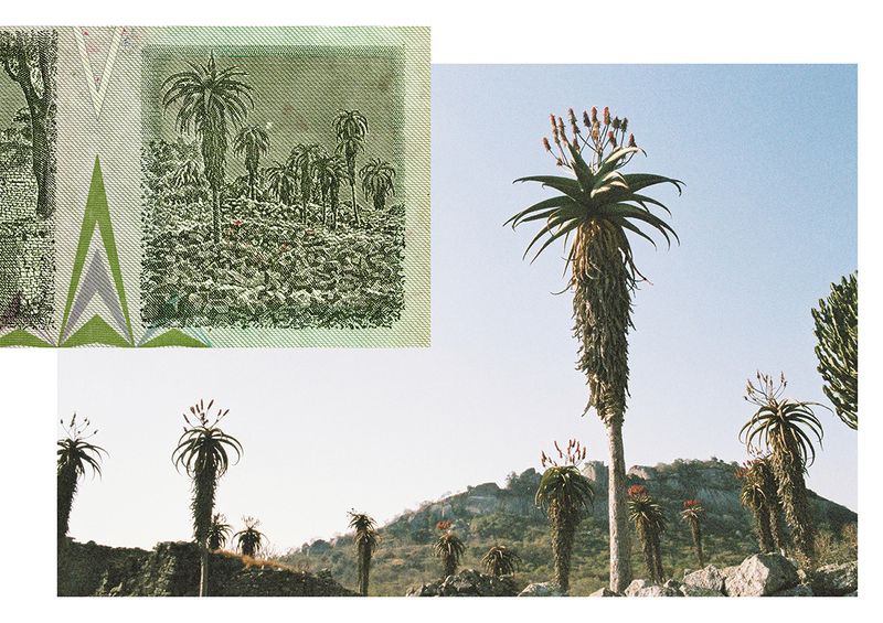 © Chloé Nicosia - Image from the ONE HUNDRED TRILLION DOLLARS photography project