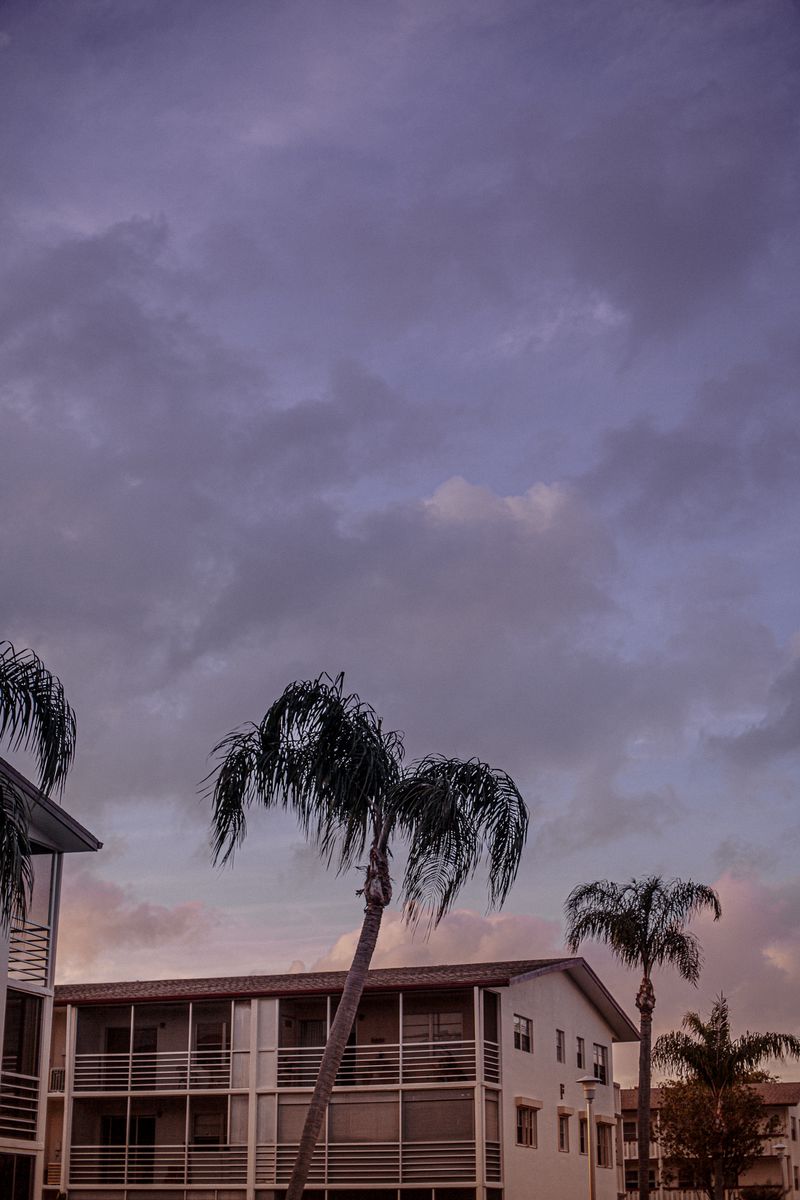 © Tajette O'halloran - Image from the Florida photography project