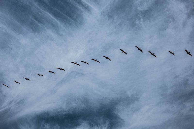 © Tajette O'halloran - Image from the Florida photography project