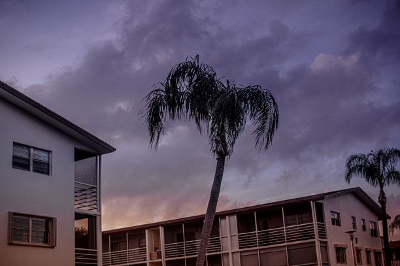 © Tajette O'halloran - Image from the Florida photography project