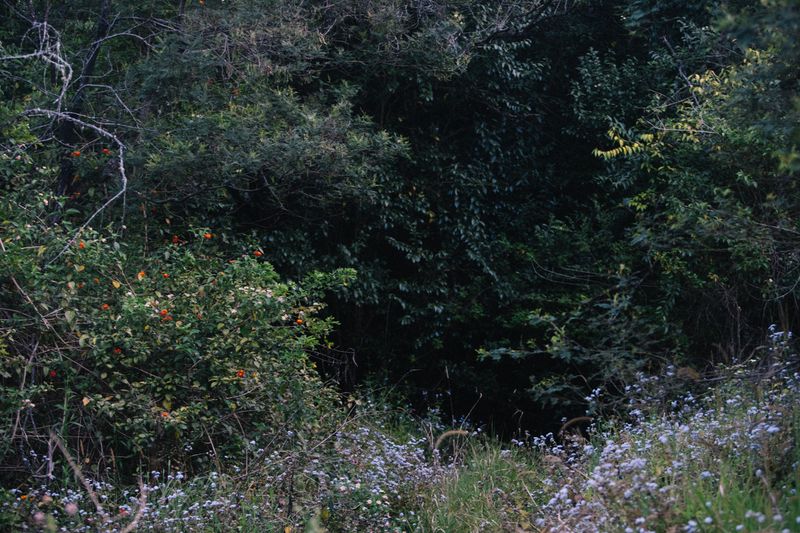 © Tajette O'halloran - Image from the The Quarry photography project