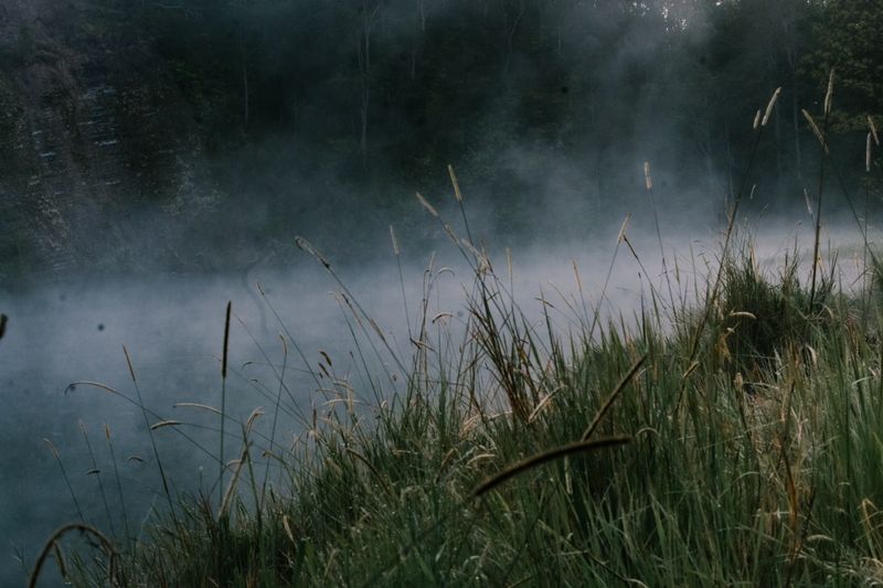 © Tajette O'halloran - The winter mist on the water at dawn