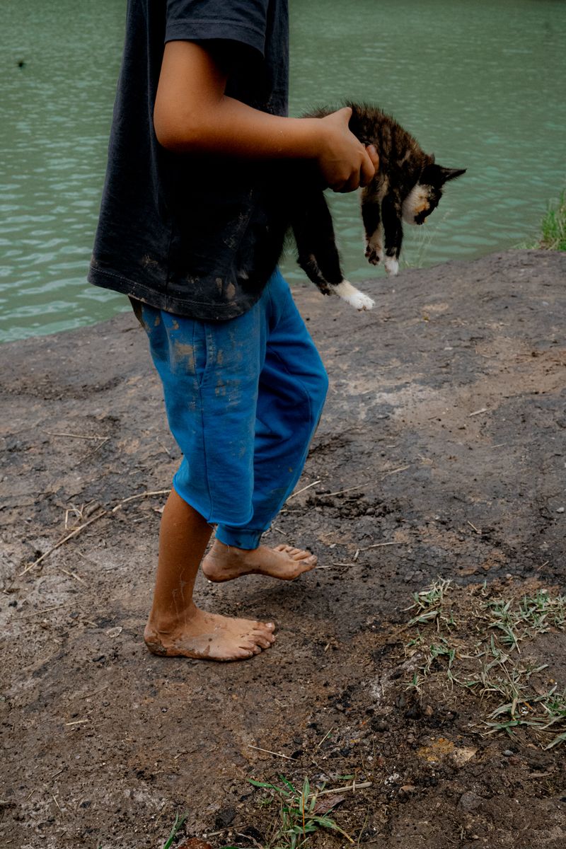 © Tajette O'halloran - A boy with his kitten
