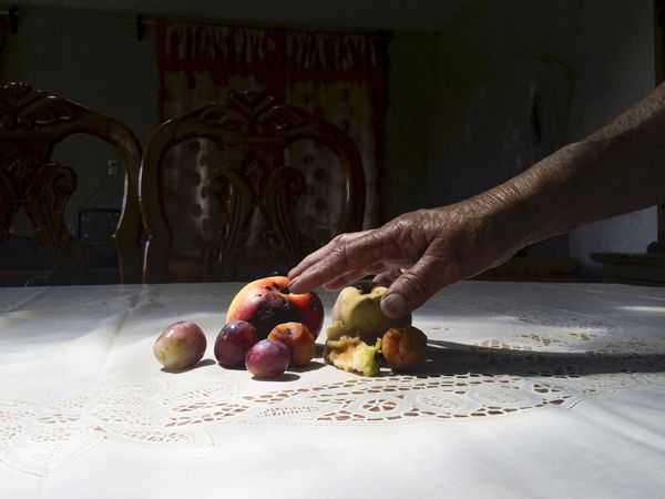 © Diego Moreno - Poison for the Fairies. The women in my family prepare potions and medications to cure the family of autoimmune diseases.