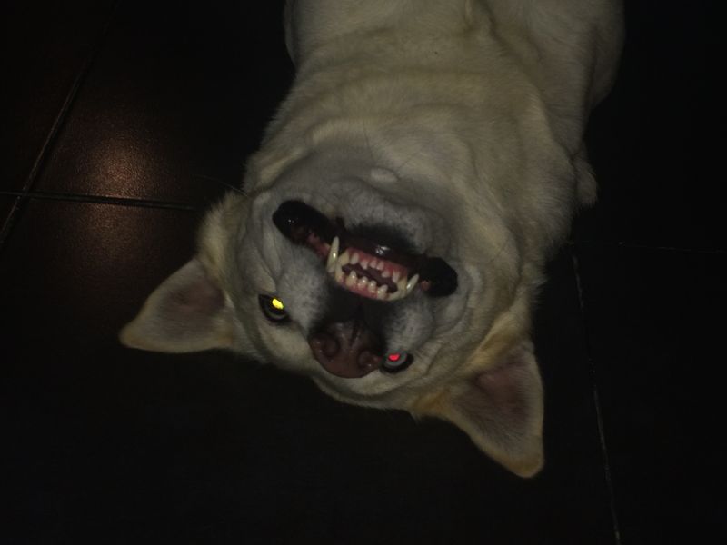 © Diego Moreno - Image from the huésped photography project