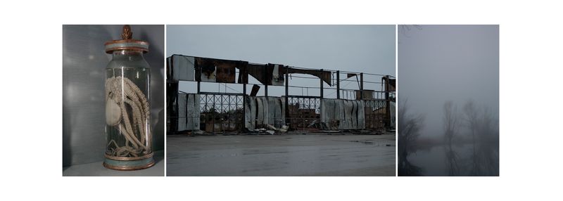 © Alessandra Baldoni - Atlas_19