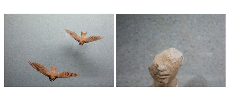 © Alessandra Baldoni - Atlas_26