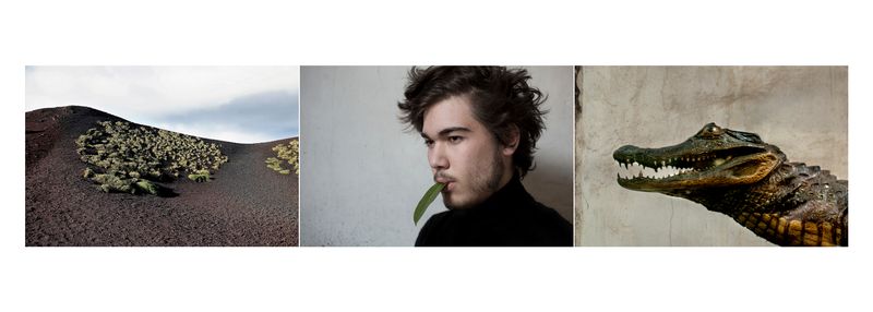 © Alessandra Baldoni - Atlas_2