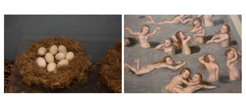 © Alessandra Baldoni - Atlas_31