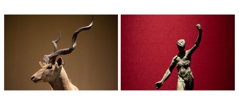 © Alessandra Baldoni - Atlas_30