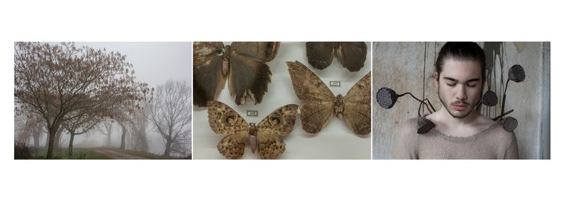 © Alessandra Baldoni - Atlas_17