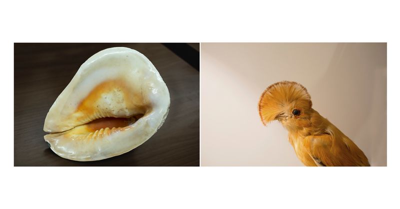 © Alessandra Baldoni - Atlas_8