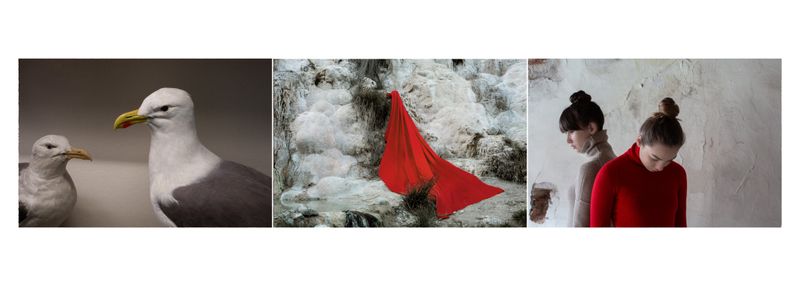 © Alessandra Baldoni - Atlas_24