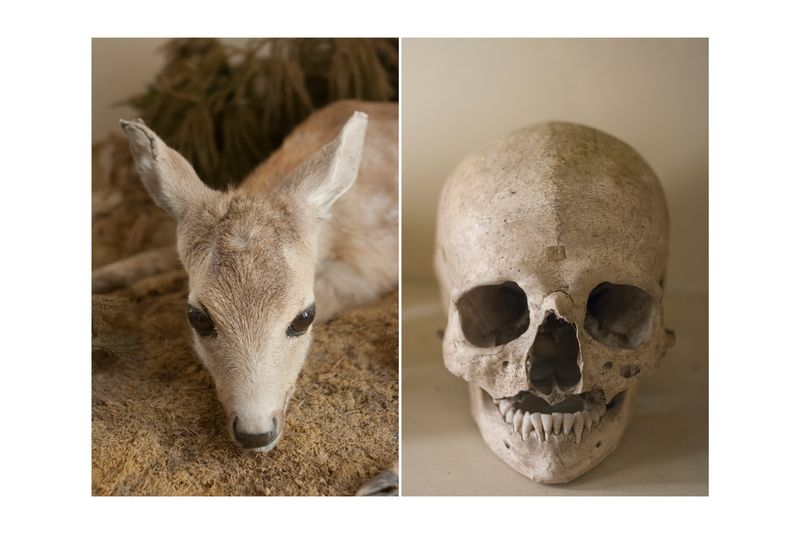 © Alessandra Baldoni - Atlas_5