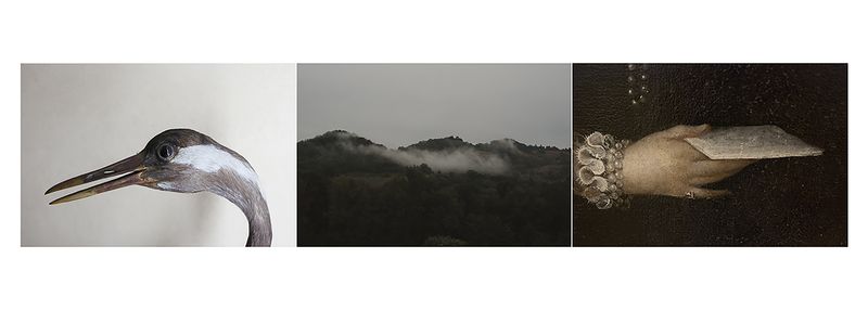 © Alessandra Baldoni - Atlas_9