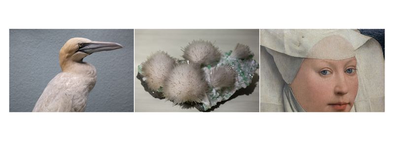 © Alessandra Baldoni - Atlas_27