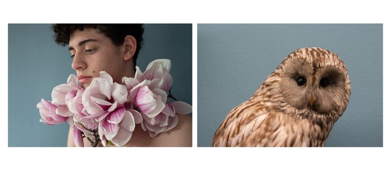 © Alessandra Baldoni - Atlas_23