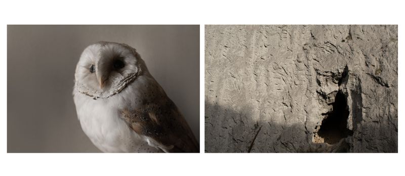 © Alessandra Baldoni - Atlas_28