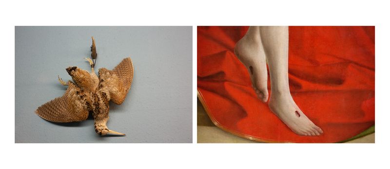 © Alessandra Baldoni - Atlas_22