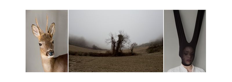 © Alessandra Baldoni - Atlas_4