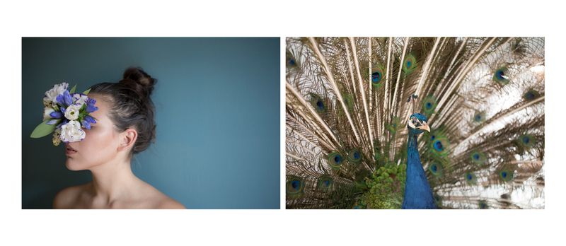 © Alessandra Baldoni - Atlas_7