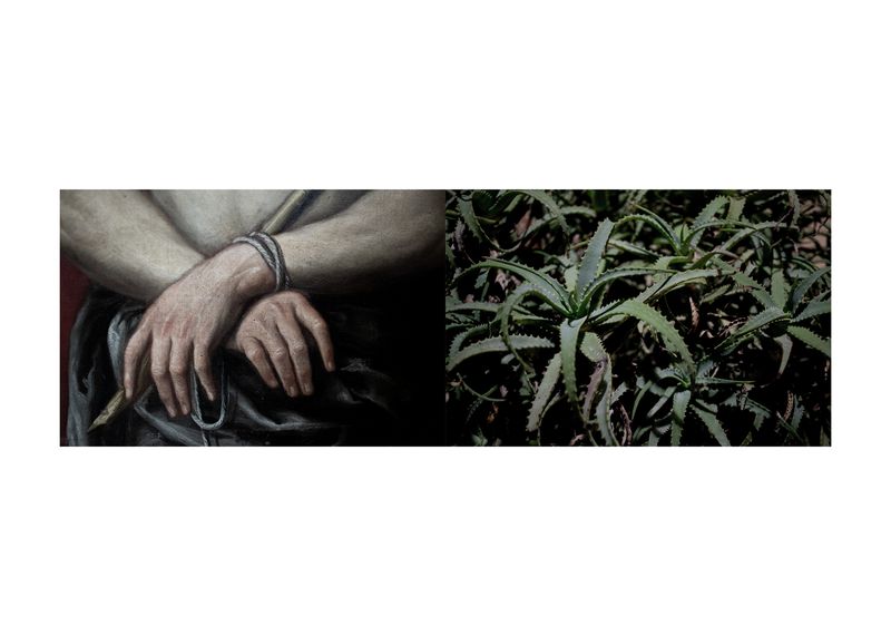 © Alessandra Baldoni - Image from the The Last Journey photography project