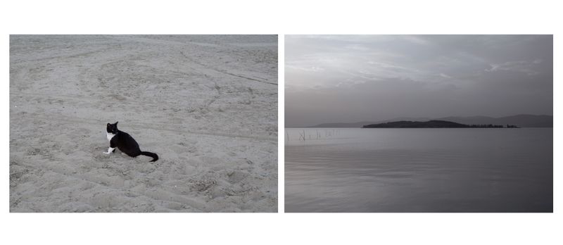 © Alessandra Baldoni - "The future is no longer what it used to be"_16