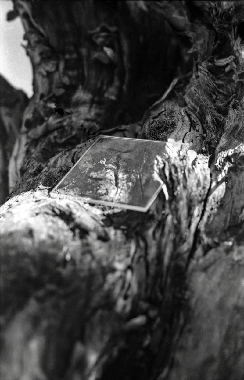 © Corey Dziadzio - Image from the Intertwined photography project