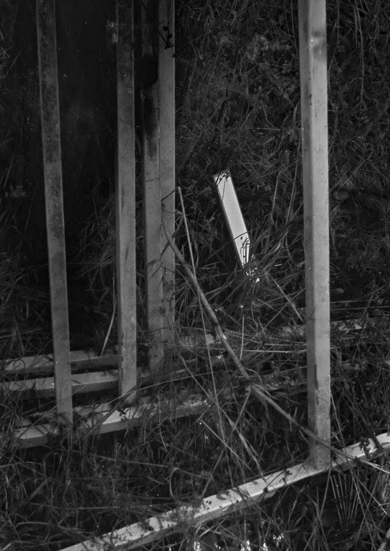 © Corey Dziadzio - Image from the Intertwined photography project