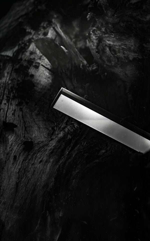 © Corey Dziadzio - Image from the Intertwined photography project