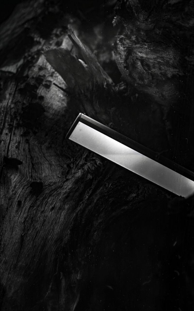 © Corey Dziadzio - Image from the Intertwined photography project