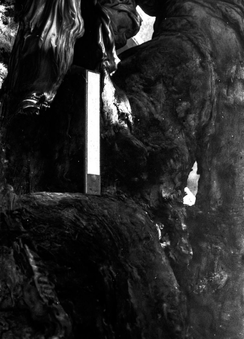 © Corey Dziadzio - Image from the Intertwined photography project