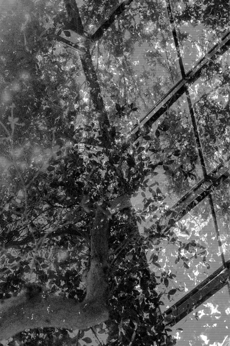 © Corey Dziadzio - Image from the Stray Thoughts photography project