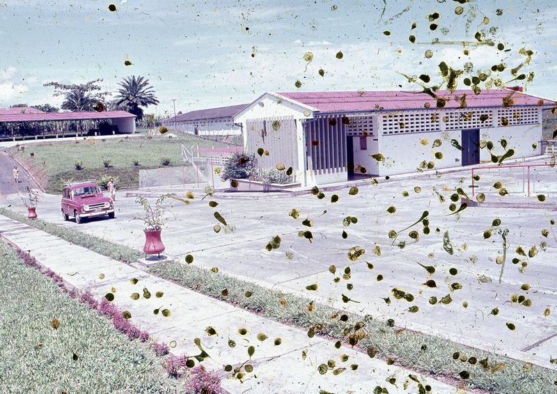 © LUIS CARLOS TOVAR - Image from the JARDIN DE MI PADRE photography project