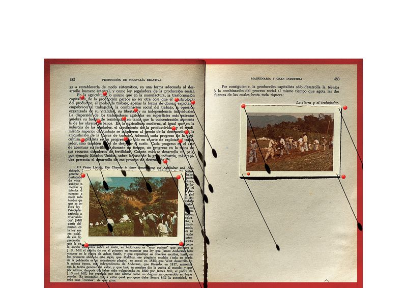 © LUIS CARLOS TOVAR - Image from the JARDIN DE MI PADRE photography project