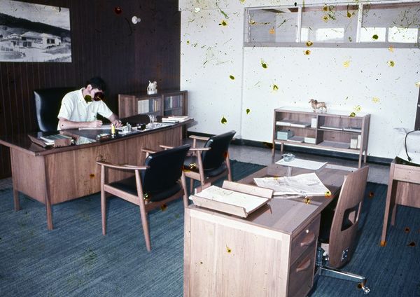 © LUIS CARLOS TOVAR - Image from the JARDIN DE MI PADRE photography project