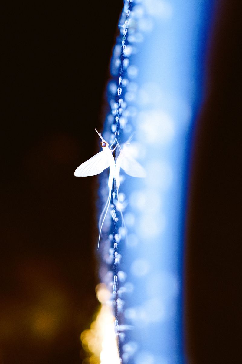 © Kanrapee Chokpaiboon - Image from the Human, Mind, Space photography project