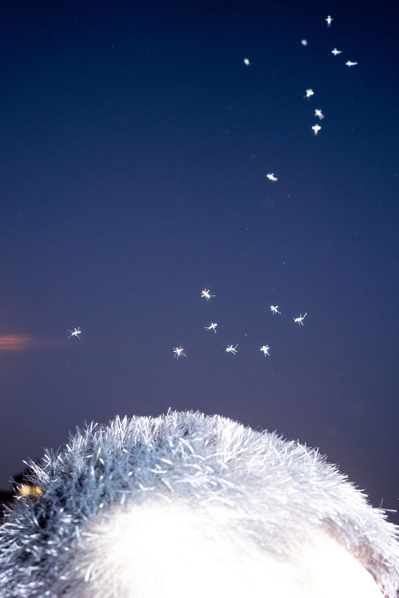 © Kanrapee Chokpaiboon - Image from the Human, Mind, Space photography project