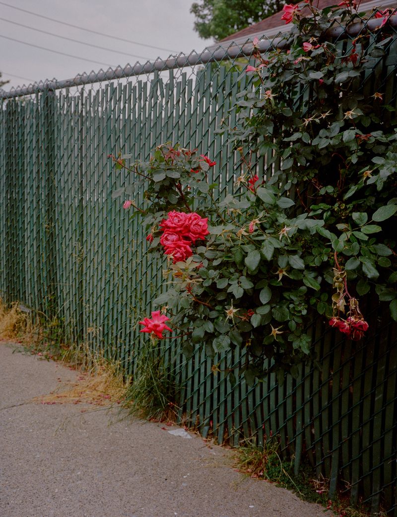 © Lila Barth - Image from the The Forgotten Borough photography project