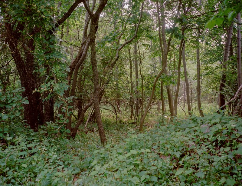 © Lila Barth - Image from the The Forgotten Borough photography project