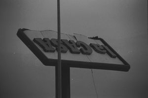 The Leaves of October