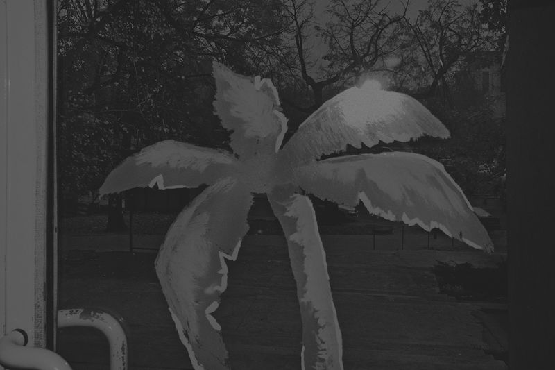 © Yannis Karpouzis - Palm tree of Warsaw