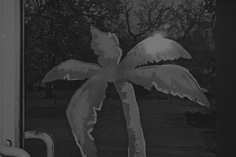 © Yannis Karpouzis - Palm tree of Warsaw